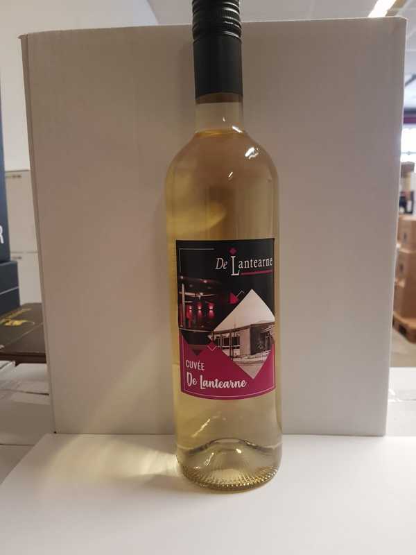 6 flessen droge frisse witte wijn Maison Vic Blanc IGP 2019 
